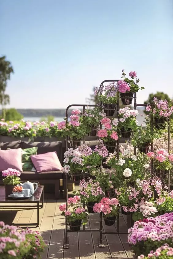 flowers on the balcony