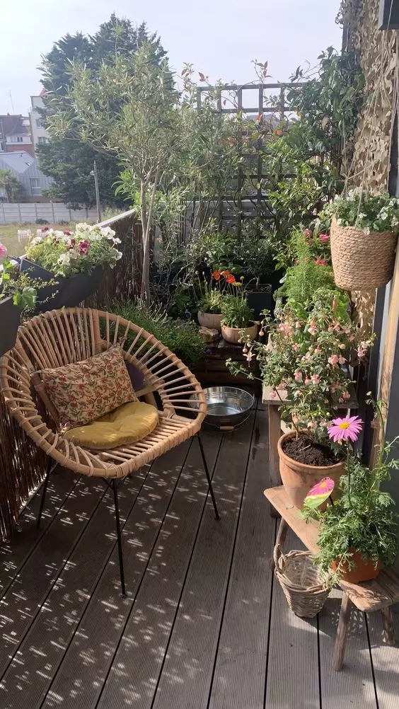 herbs on the balcony