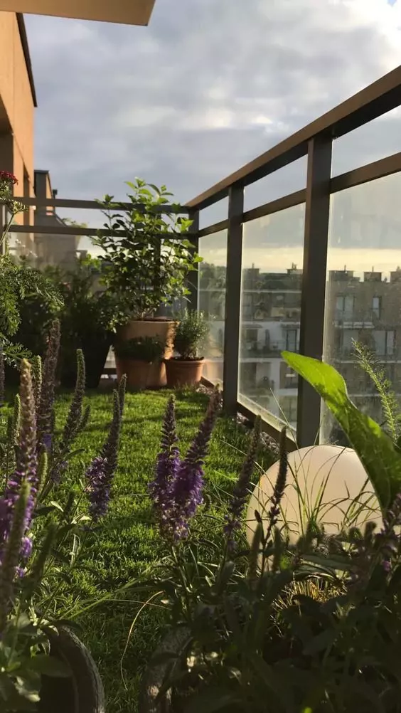 flowers on the balcony