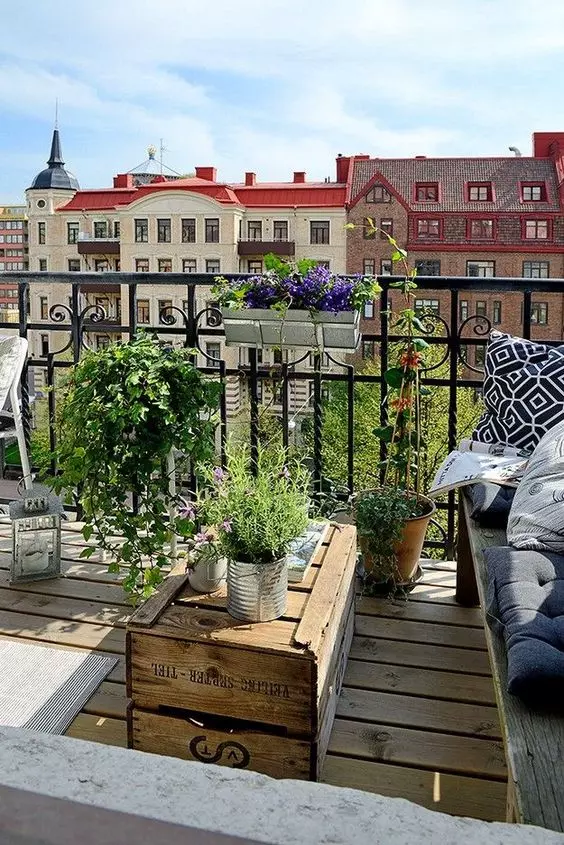 growing herbs on the balcony