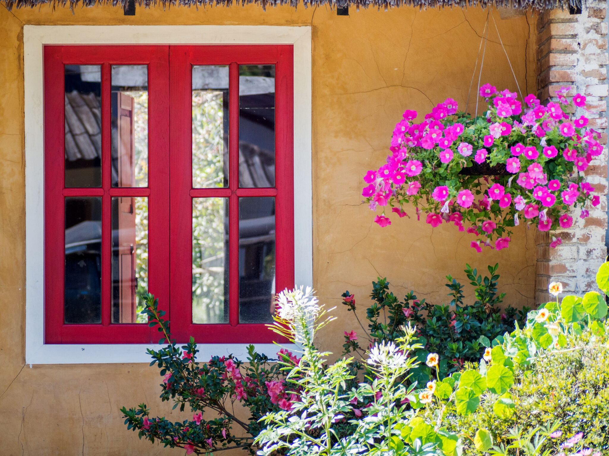 Colorful windows – a way to create a unique home. MS więcej niż OKNA